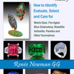 Exotic Gems, Volume 3 by Renee Newman