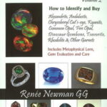 Exotic Gems, Volume 2 by Renee Newman