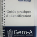 Practical Gemmology Handbook by Gem-A - French