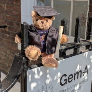 Barnett Bear Graduation Outfit